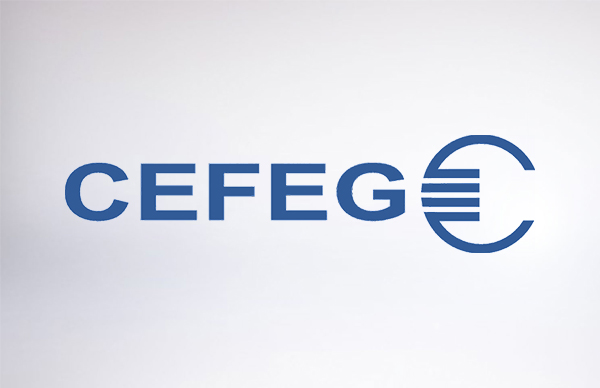 CEFEG GmbH